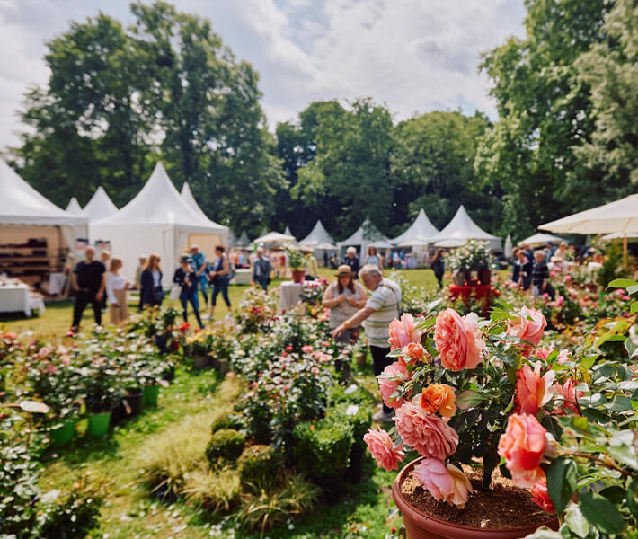 Gartenfestivals Agentur Denkwunder.de