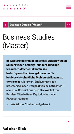 Allgemeine Informationen zum Studiengang Business Studies in mobiler Ansicht